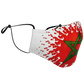 Masque facial Maroc
